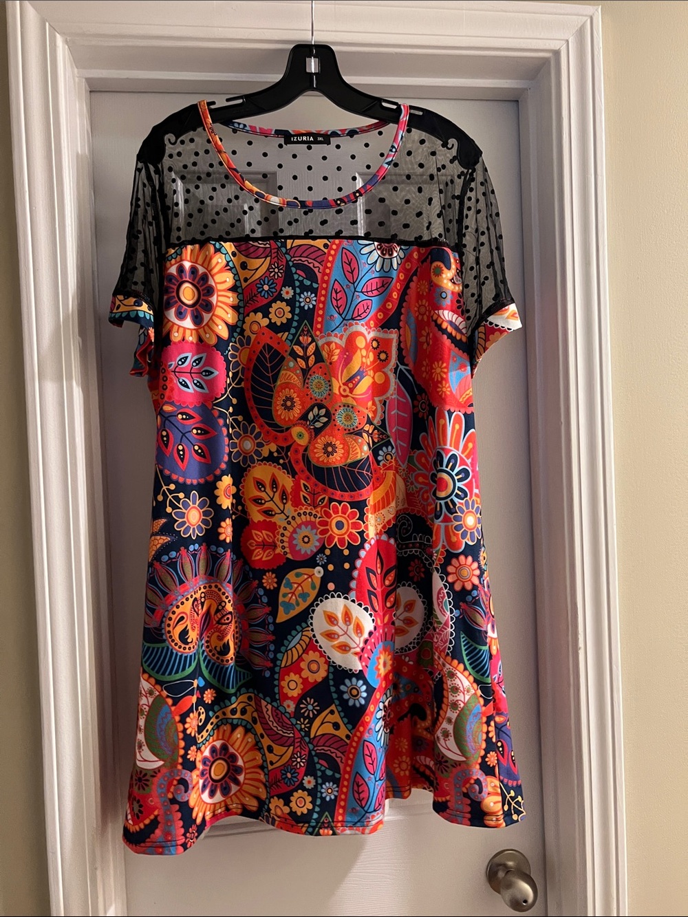 Izuria Multicolor Floral Mesh Yoke Dress